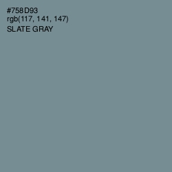 #758D93 - Slate Gray Color Image